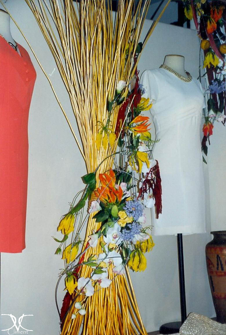 Galería
